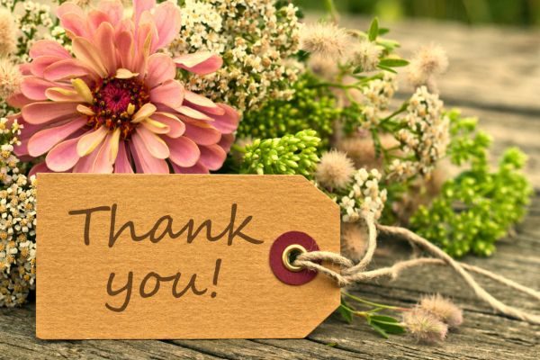 thank you sponsors